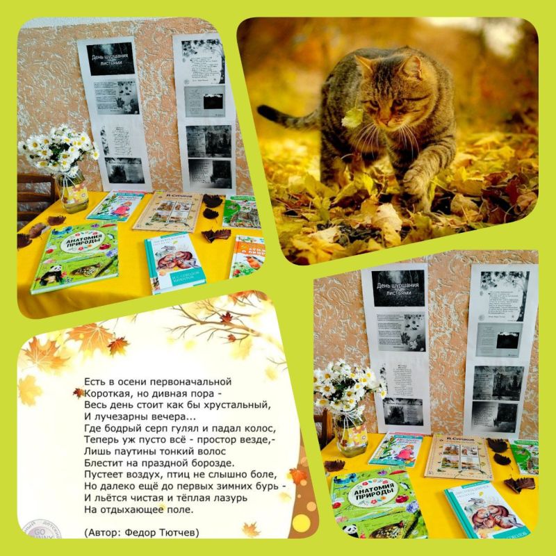 Тематическая книжная выставка «Шуршание листьев: мелодия осени»