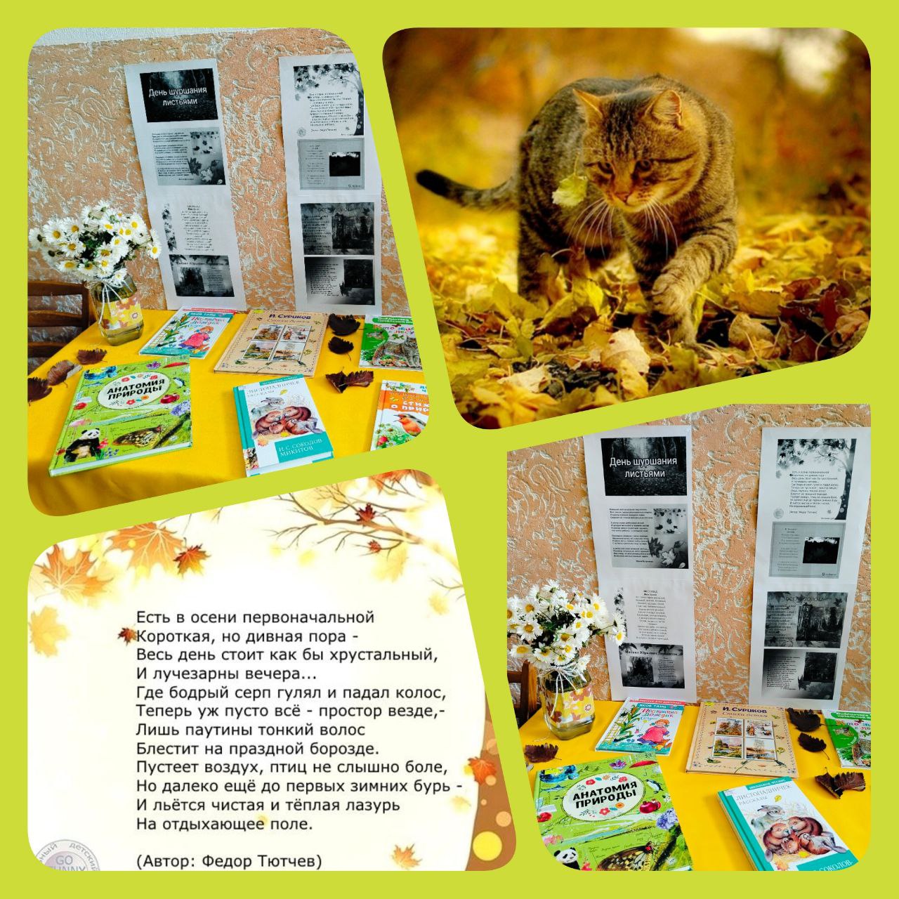 Тематическая книжная выставка «Шуршание листьев: мелодия осени»