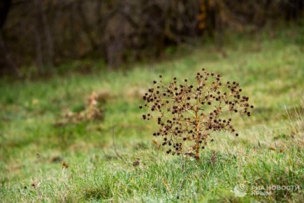 Погода на новых территориях России