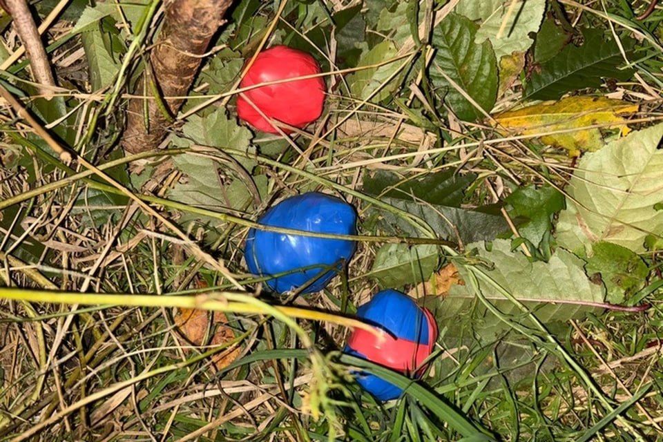 В Бердянске изъяли из закладок 126 граммов наркотиков