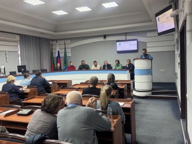 Депутаты заслушали отчет о работе "Горсвета", школы №3 и художественной школы