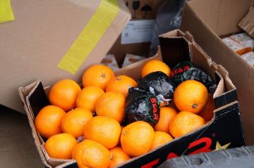 Депутаты «Единой России» передали гуманитарную помощь военнослужащим на реабилитации