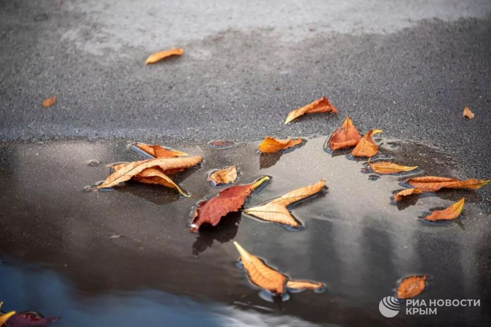 Погода на новых территориях России