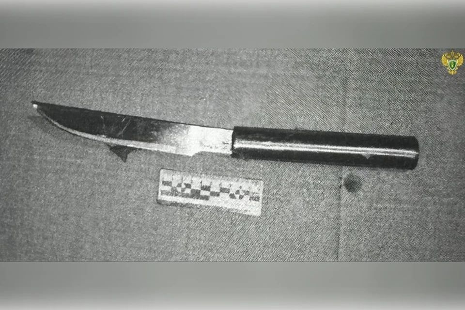 ������ ��������� �������� �� 6,5 ��� �� ���� ����� � ����� ������