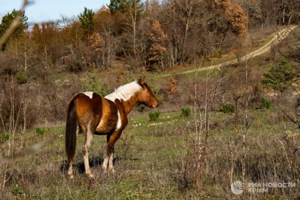 Погода на новых территориях России