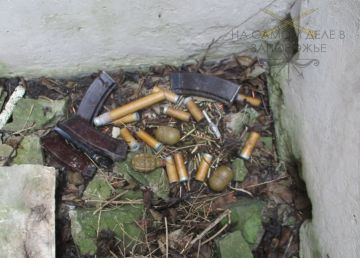 В Запорожской области полицейские нашли схрон с боеприпасами