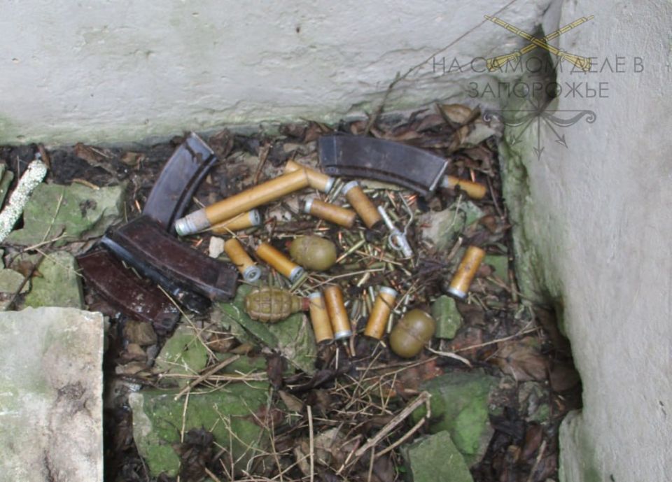 В Запорожской области полицейские нашли схрон с боеприпасами