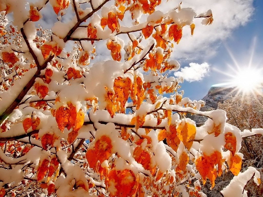 Доброе утро. А вы знали, что сегодня