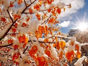 Доброе утро. А вы знали, что сегодня