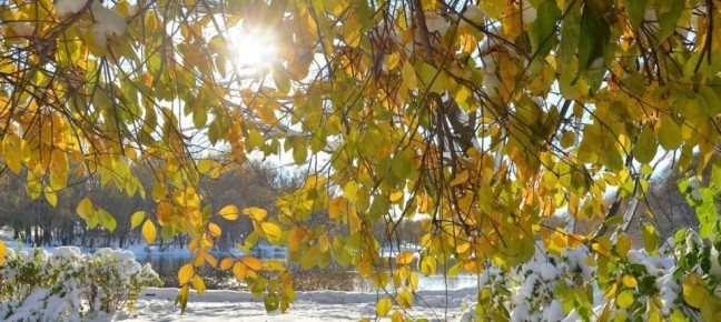 Доброе утро. А вы знали, что сегодня