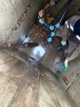 ��������� ������� ��� "����" � ������� ������������ ������� ����������� � ���� ����������