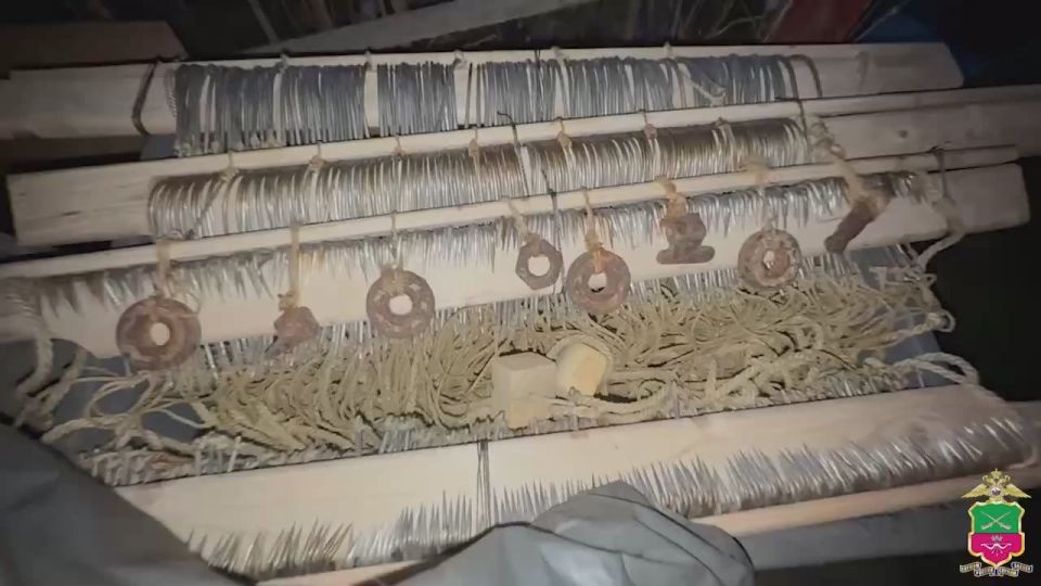 В Запорожской области полицейские пресекли незаконную добычу особо ценных видов осетровых рыб