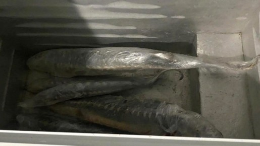 � ��������� ��������� ����������, ������� ����������� ���������� ����� ������, ��� ��������� �������