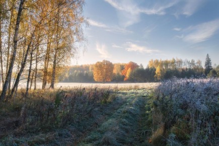 ������ ����. � �� �����, ��� �������