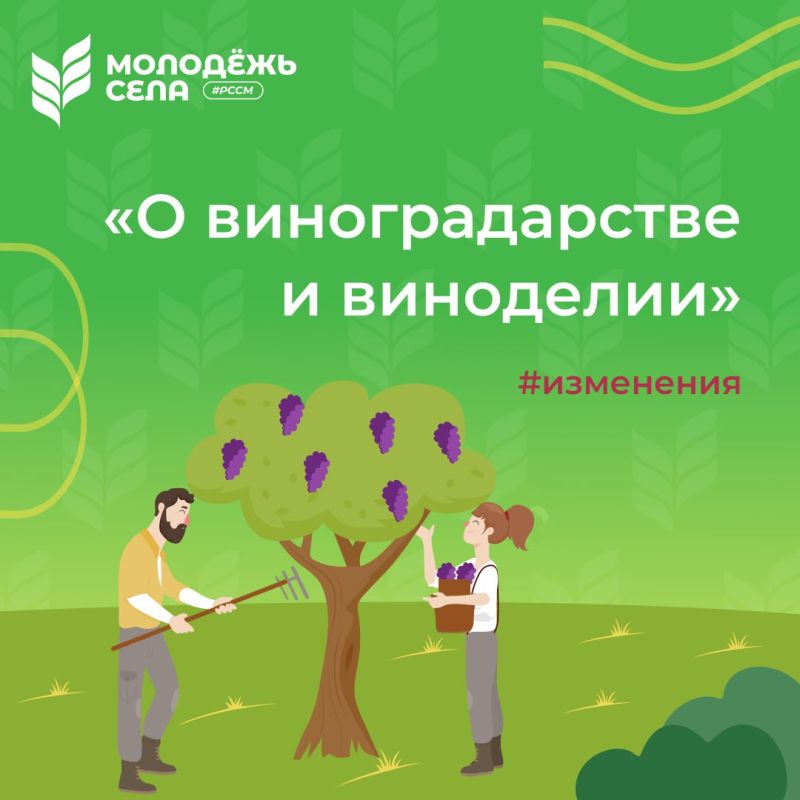 Приняты важные изменения в закон «О виноградарстве и виноделии»