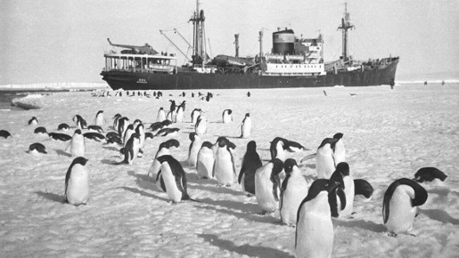 ���� �������: 5 ������. 1956, 70 ��� �����