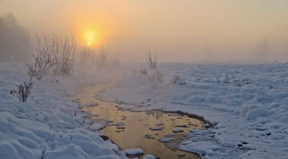 Доброе утро. А вы знали, что сегодня
