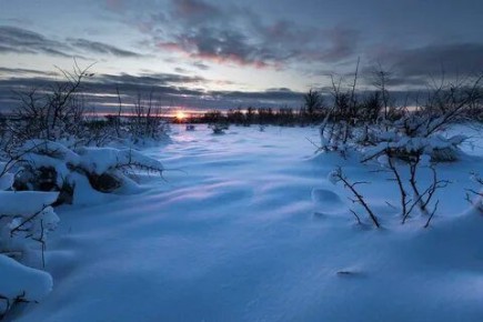 ������ ����. � �� �����, ��� �������