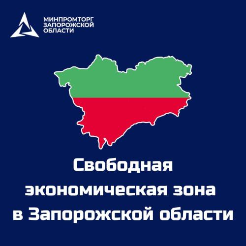 Что важно знать о льготах для бизнеса в Запорожской области