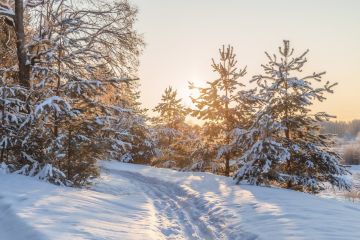 ������ ����. � �� �����, ��� �������