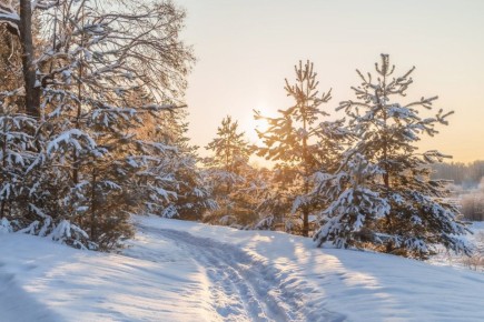 ������ ����. � �� �����, ��� �������