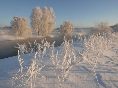 Доброе утро. А вы знали, что сегодня