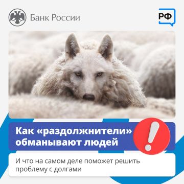 «Спишем все долги!». «Больше не платите кредиторам!»