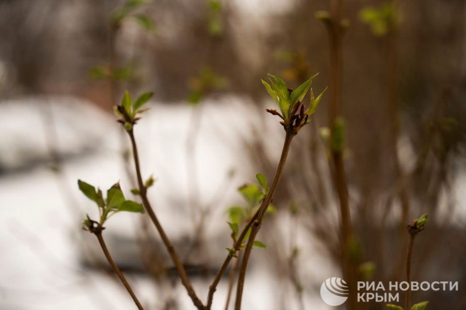 Погода на новых территориях России