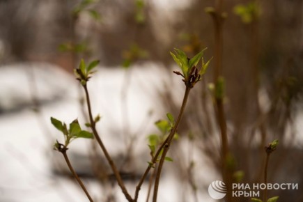 ������ �� ����� ����������� ������