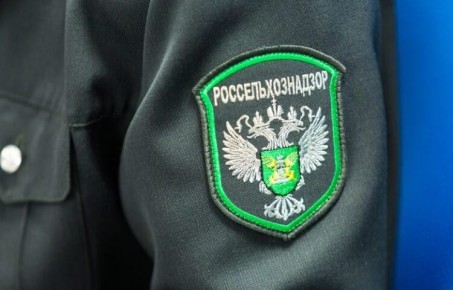 ������������������ ������ ����� 300 ��������������� �������� ��������� �� ��������� ��������������� ����������������