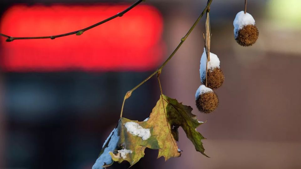 ������ �� ����� ����������� ������