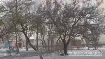 Несмотря на вчерашнее потепление, Бердянск снова в превращается в зимнюю сказку и напоминает жителям какое сейчас время года, укрывая все вокруг снегом