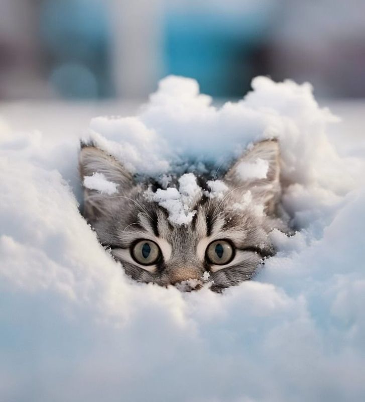 ������ ����. � �� �����, ��� �������