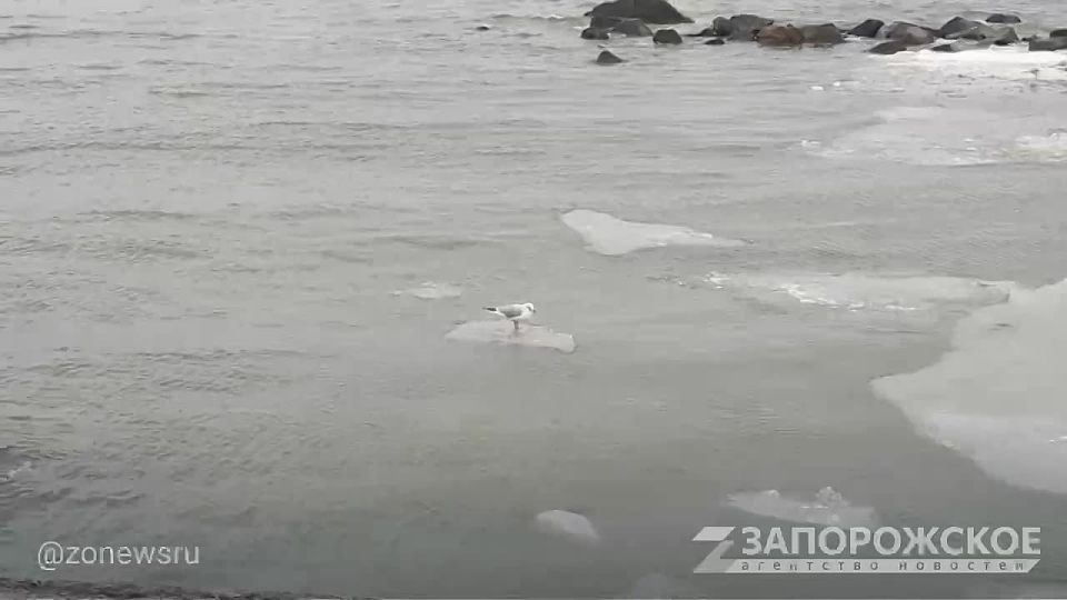 ����� �� �������: ������� ������ ����