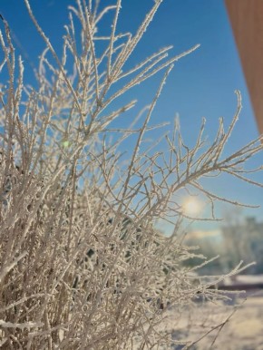 ������ ����. � �� �����, ��� �������