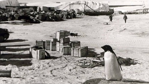 ���� �������: 13 �������. 1956, 70 ��� �����