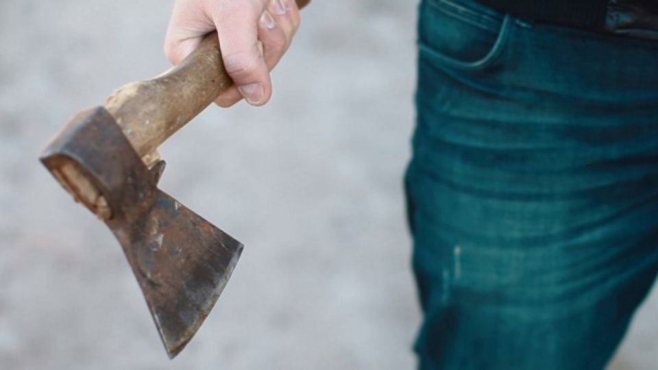 На 2 года отправится в колонию житель Бердянского района за нанесение ударов топором по голове соседу