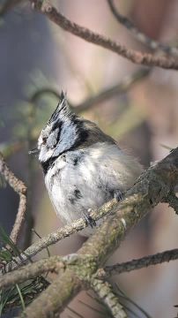 ������ ����. � �� �����, ��� �������