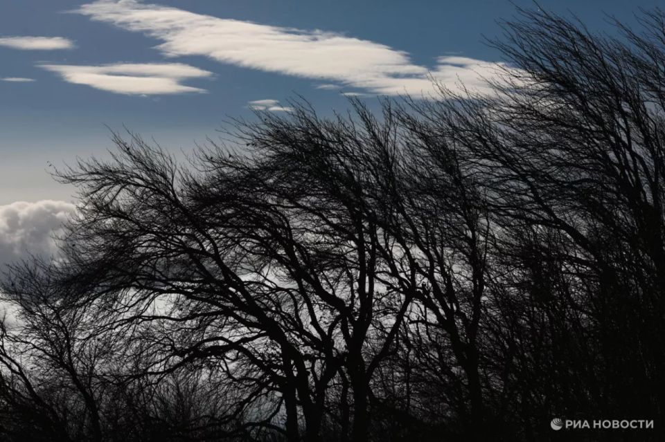 Погода на новых территориях России