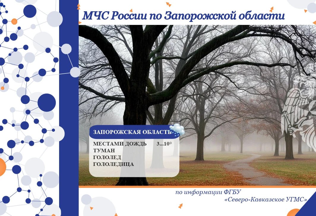 С 13 на 14 февраля на территории региона ожидается: