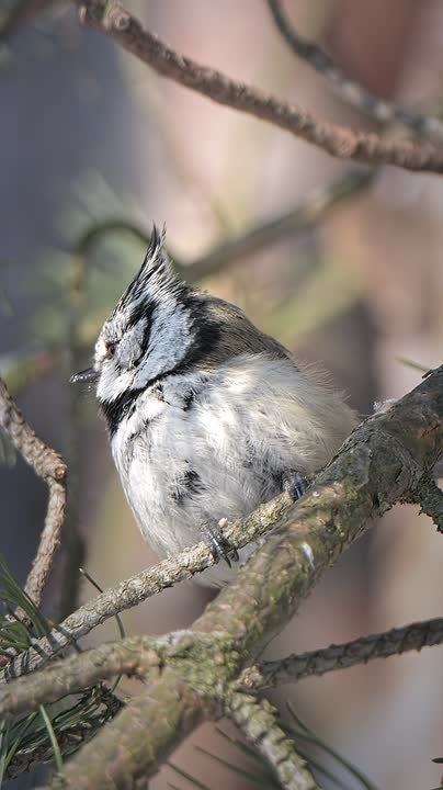 Доброе утро. А вы знали, что сегодня