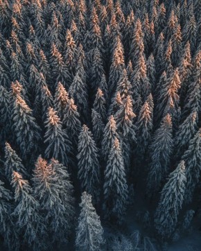 Доброе утро. А вы знали, что сегодня