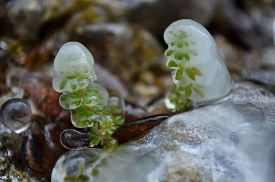 ������ �� ����� ����������� ������