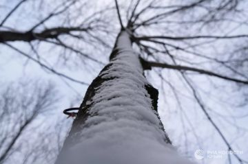 Погода на новых территориях России