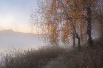 Доброе утро. А вы знали, что сегодня