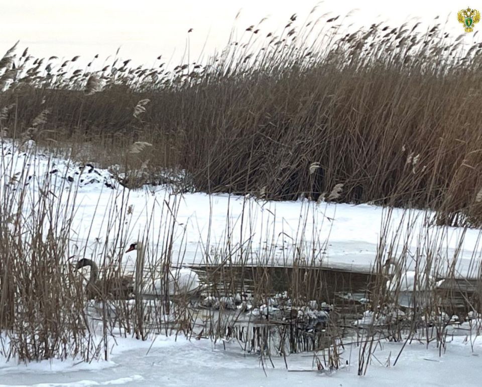 �������������� ����������� ��������������� ����������� �� ��������� ������� ����������� ������ ������� �������� �� ����� ���������� ���������� � ��������� ����, ���������� � ������� ����� ���������� ���������