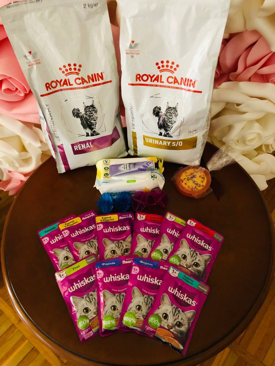 1 МАРТА — ДЕНЬ КОШЕК: ПУШИСТЫХ ЧЛЕНОВ НАШИХ СЕМЕЙ