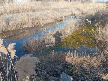 ����������������. �������� ������������ ������������� ������ �������� ������� ������