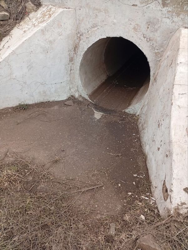 ��� ����λ ���������� ������ �� ���������� ������������� ����� ����������� �������