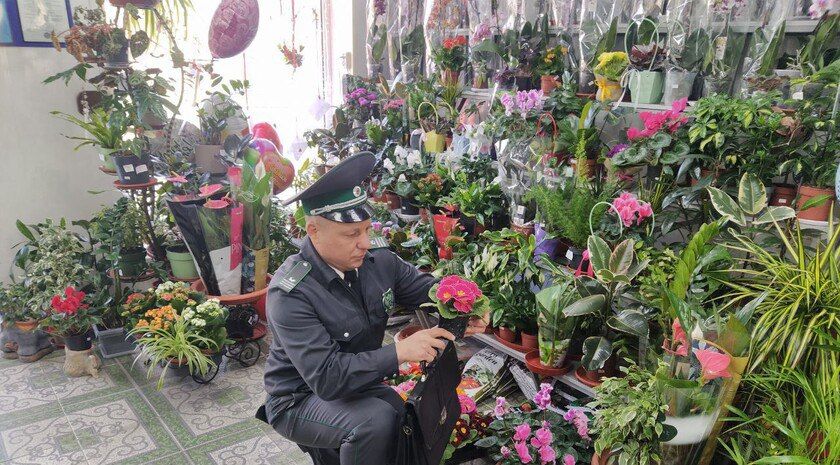 В Запорожской области Россельхознадзор выявил нарушения при продаже цветов к 8 Марта